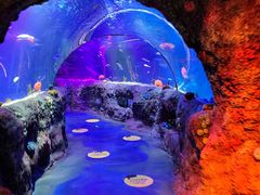 -沈阳海洋探索中心