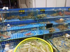 水产区-板桥海鲜广场(文明东店)