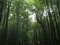 -宝岩生态观光园