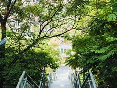-佛山华盖山公园