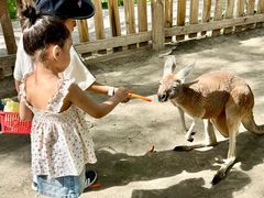 -水上乐园·欢乐世界