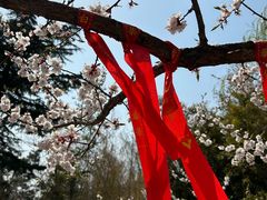 -天津盘山风景名胜区
