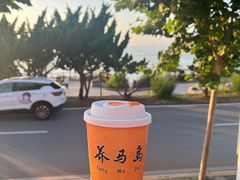 -养马岛旅游度假区
