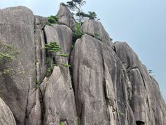 -黄山风景区