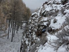 -塞罕坝国家级自然保护区