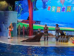 -三亚海昌梦幻海洋不夜城