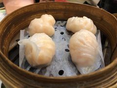 晶莹鲜虾饺-添好运点心专门店(深水埗店)