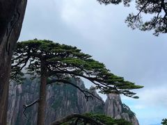 -黄山风景区