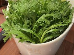 -掂档潮汕牛肉火锅(沈阳万象城店)