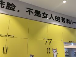 -洗脸猫·洗脸吧