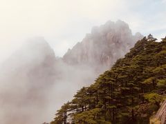 -黄山玉屏楼宾馆餐厅