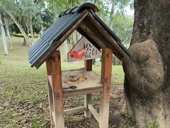 -福建鲤鱼洲酒店