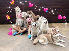 -TrueLove @ Neverland (Husky Cafe)