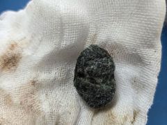 -派美特宠物医院·核磁CT·骨科肿瘤·疑难转诊(沈农禾丰店)