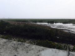 -南汇嘴观海公园