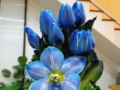 -森野花艺培训·企业团建活动沙龙