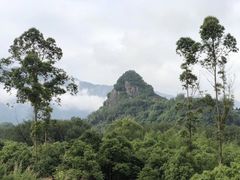 -嘉定紫藤园