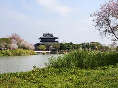 -海珠湖公园