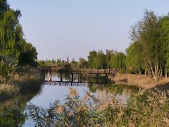 -泗洪洪泽湖湿地景区