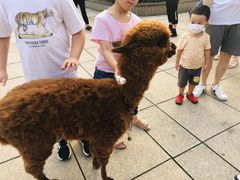 -汇德隆银隆