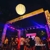 🌳森林心脏音｜地表最强城市森林造浪来袭！ 