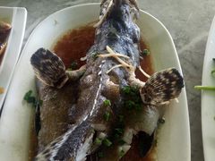 -四川小胡子海鲜(丁村万人海鲜广场店)