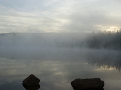 -五营红松林海景区
