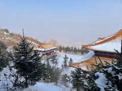 -兰山公园