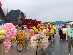 -荷兰花海