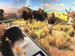 -陕西自然博物馆