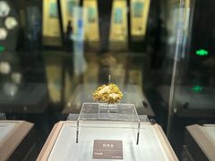 -安徽省地质博物馆