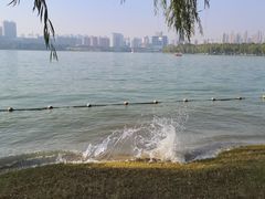 -天鹅湖体育公园