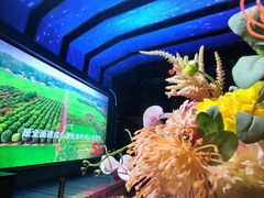 -东方金柜(郑州金水印象汇店)