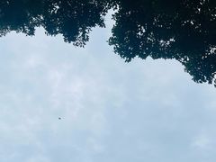 -白石龙音乐公园