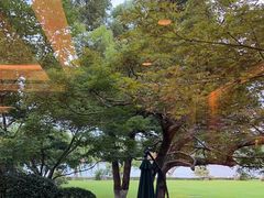 -浙江西子宾馆·瑶园咖啡厅