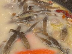 -捞王猪肚鸡火锅(财富中心店)