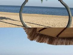 -日照海滨国家森林公园