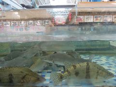 -森谷美食公园(杨行店)