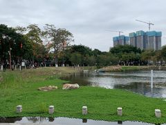 -映月湖公园