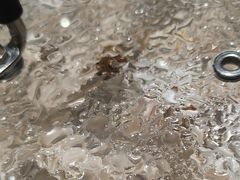 -采椰郎椰子鸡·脆皮鸡火锅(融创茂店)