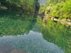 -石台牯牛降景区
