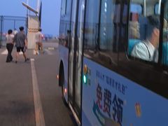 -南汇嘴观海公园