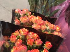 -秦美花卉(天朗·莱茵小城2期店)