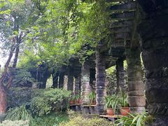 -南山植物园