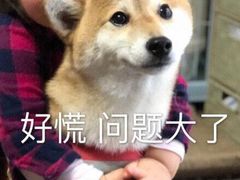 -清真李唯一优质肉丸糊辣汤