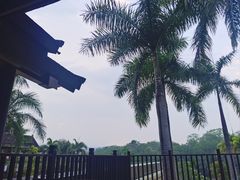 -西双版纳安纳塔拉度假酒店
