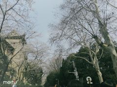 -武汉大学-樱园