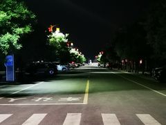 -茯茶镇