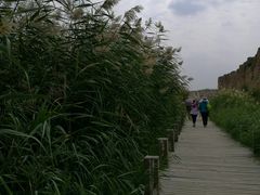 -水洞沟旅游区