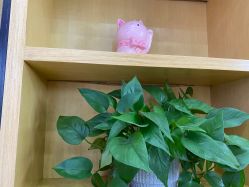 -WENDY·温迪皮肤管理